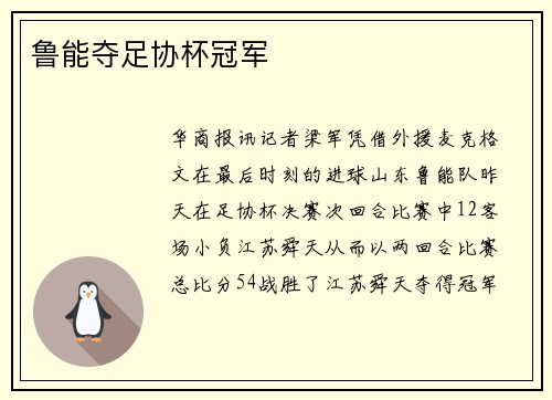 鲁能夺足协杯冠军